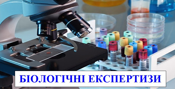 Біологічні експертизи. "Шиншила чи кролик?" Біологічні експертизи. "Шиншила чи кролик?"